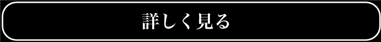 詳しく見る